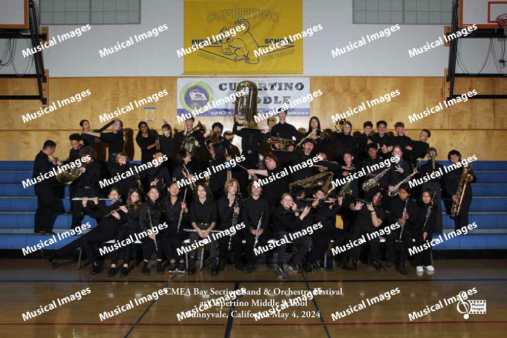 Musical Images